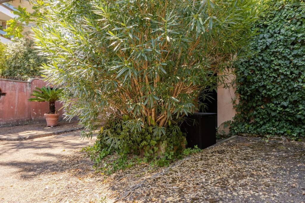 Minicasa Vatican Apartment Rome